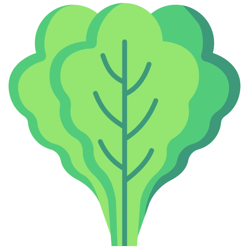 lechuga icono gratis