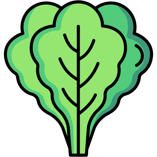 lechuga icono gratis