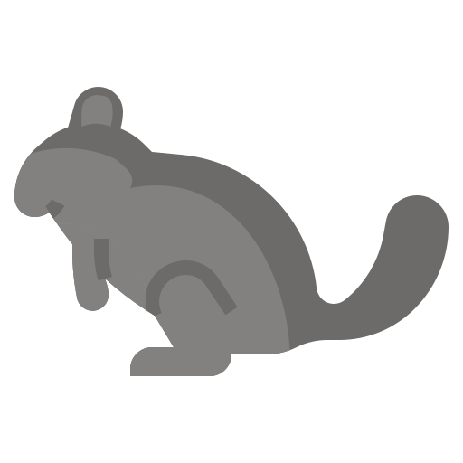 chinchilla icono gratis