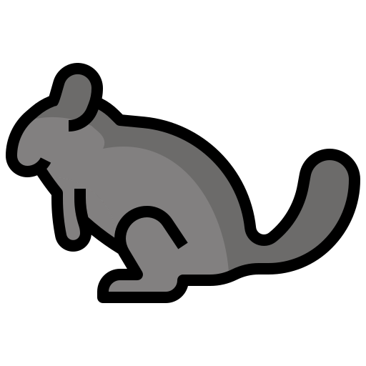 chinchilla icono gratis