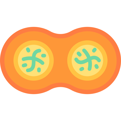 mitosis icono gratis