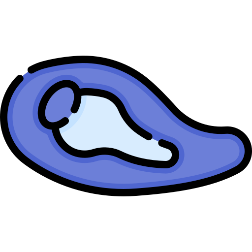 knorpel kostenlos Icon knorpel kostenlos Icon