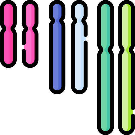 diplóide grátis ícone