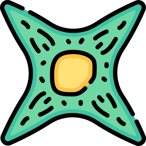 Fibroblast Special Lineal color icon