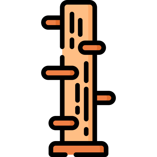 Wing chun free icon