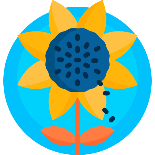 Sunflower free icon