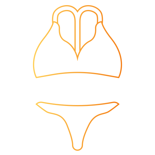 bikini icono gratis