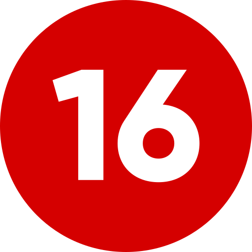 Number 16 Generic Flat icon