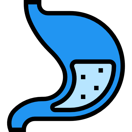 bauch kostenlos Icon