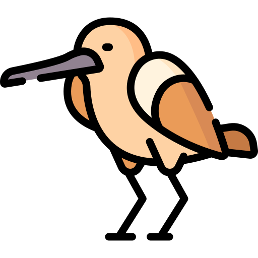 martin-pêcheur Icône gratuit martin-pêcheur Icône gratuit