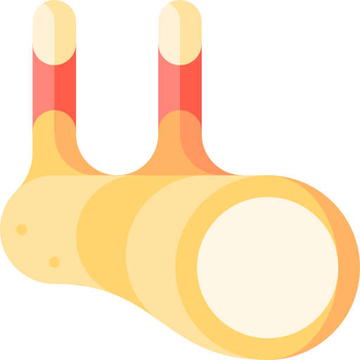 galanga icono gratis