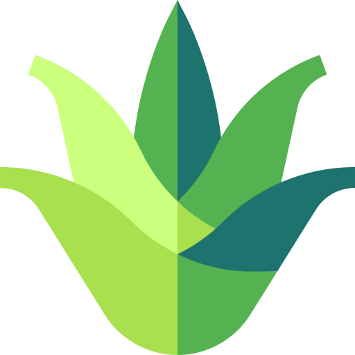 aloe vera Icône gratuit aloe vera Icône gratuit