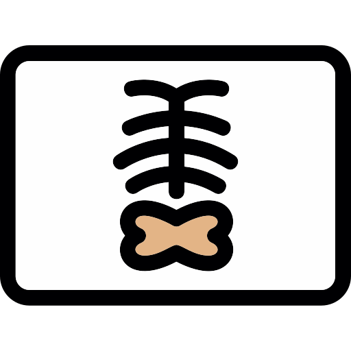 Radiology free icon