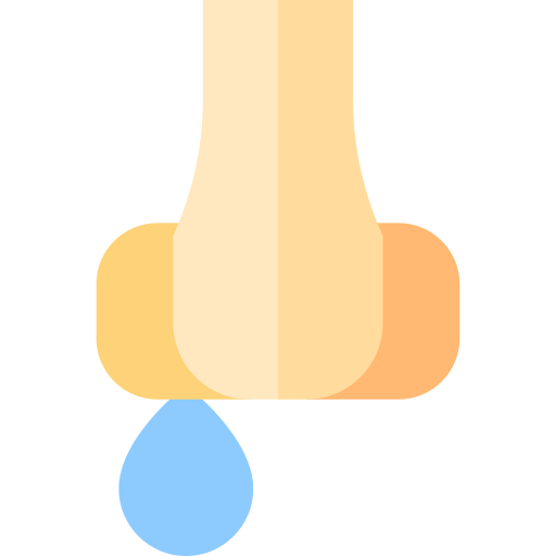 nase kostenlos Icon