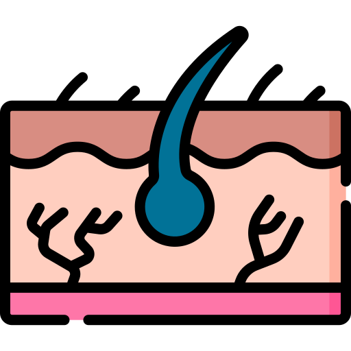 Dermatology Special Lineal color icon