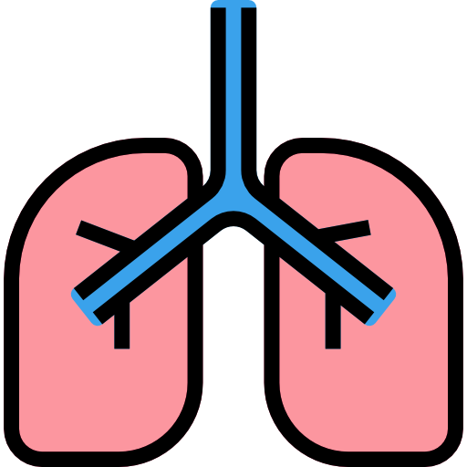 Lungs free icon