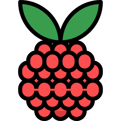 raspberry pi logo icon