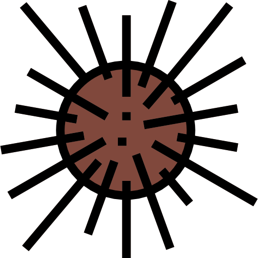 Sea urchin free icon Sea urchin free icon