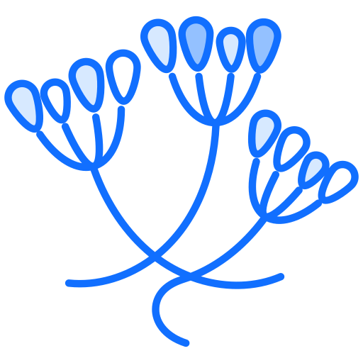 alcaravea icono gratis