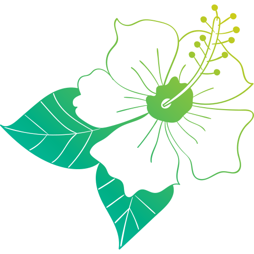Hibiscus free icon