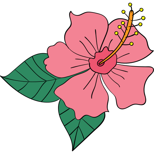 Hibiscus Generic Outline Color icon