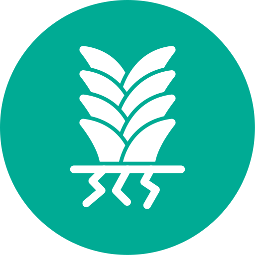 yucca kostenlos Icon yucca kostenlos Icon