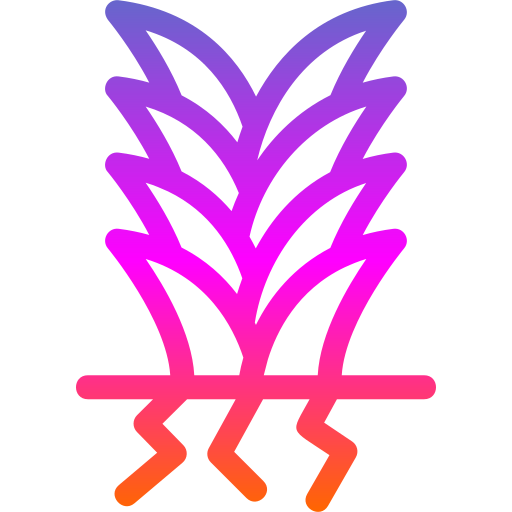 yucca kostenlos Icon