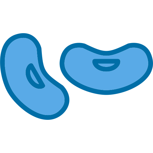 Bean Generic Blue icon