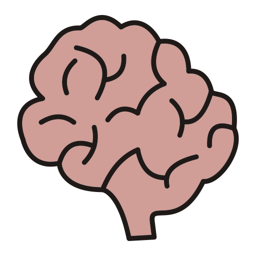 Brain Generic Outline Color icon