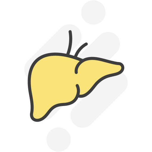 leber kostenlos Icon