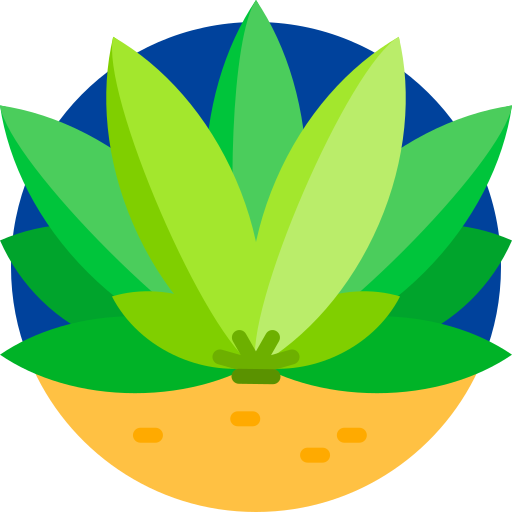 yucca kostenlos Icon yucca kostenlos Icon