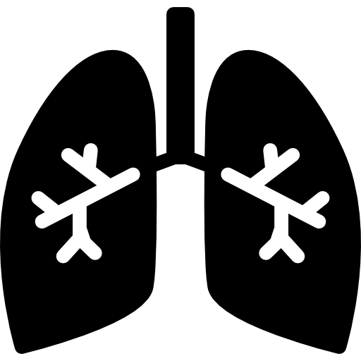 Lungs with bronchi  free icon