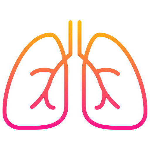 Lungs Generic Gradient icon