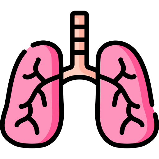 폐 무료 아이콘 폐 무료 아이콘