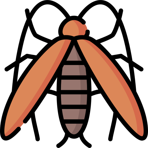 Cockroach Special Lineal color icon