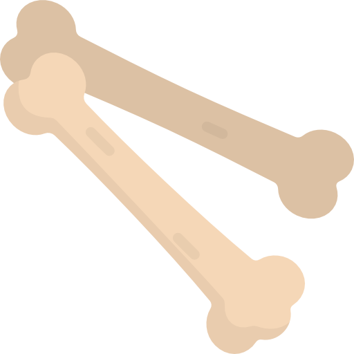 Bones free icon