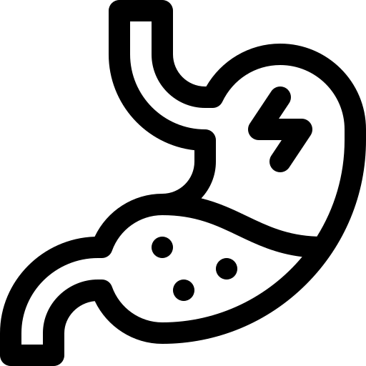 bauch kostenlos Icon