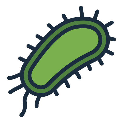 Bacteria Generic Outline Color icon