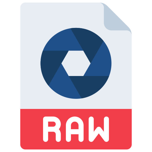 archivo raw icono gratis