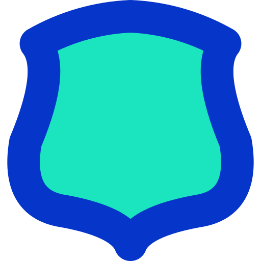 Shield Generic Outline Color icon