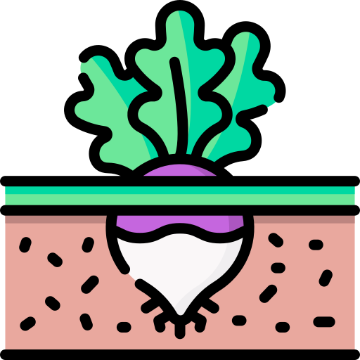 navet Icône gratuit navet Icône gratuit