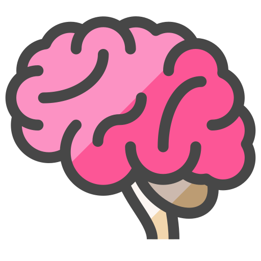 Brain Generic Outline Color icon