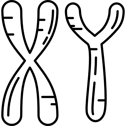 Masculine Chromosomes Free Medical Icons