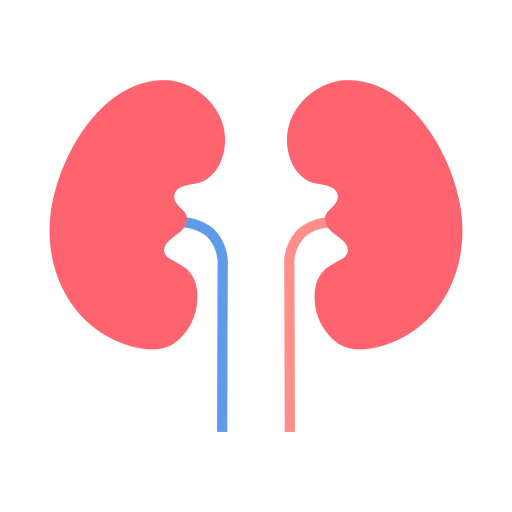 Kidney Generic Flat icon