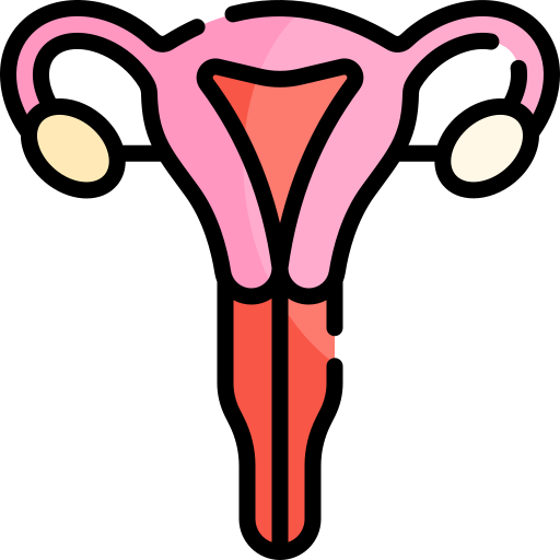 Uterus - Free healthcare and medical icons