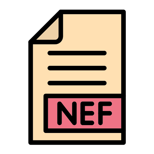 nef icono gratis