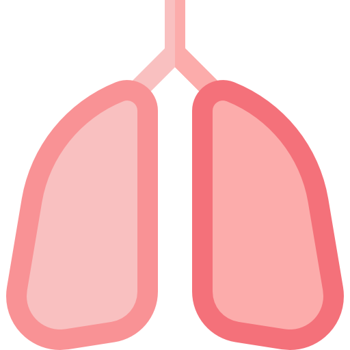 Lungs Basic Straight Flat icon