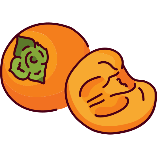 Persimmon free icon