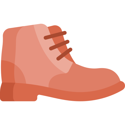 Shoe Special Flat icon