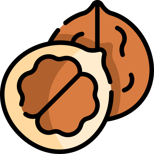 Walnut free icon